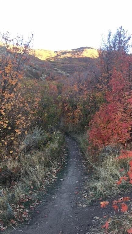 Stay & Play In The Little Switzerland Of Utah!!! Draper Ngoại thất bức ảnh